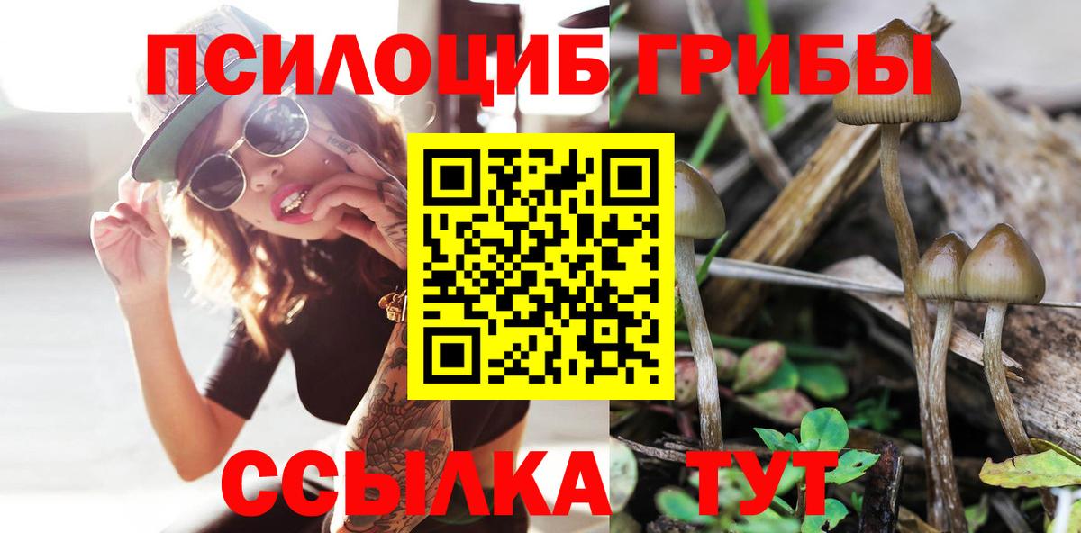 Галлюциногенные грибы ЛСД  где найти   Сальск  Вход с VPN 