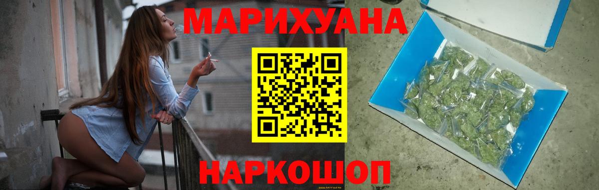МАРИХУАНА план Сальск